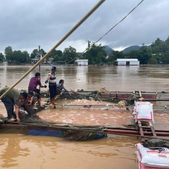 Đồng Nai: Cá bè chết hàng loạt sau cơn mưa lớn